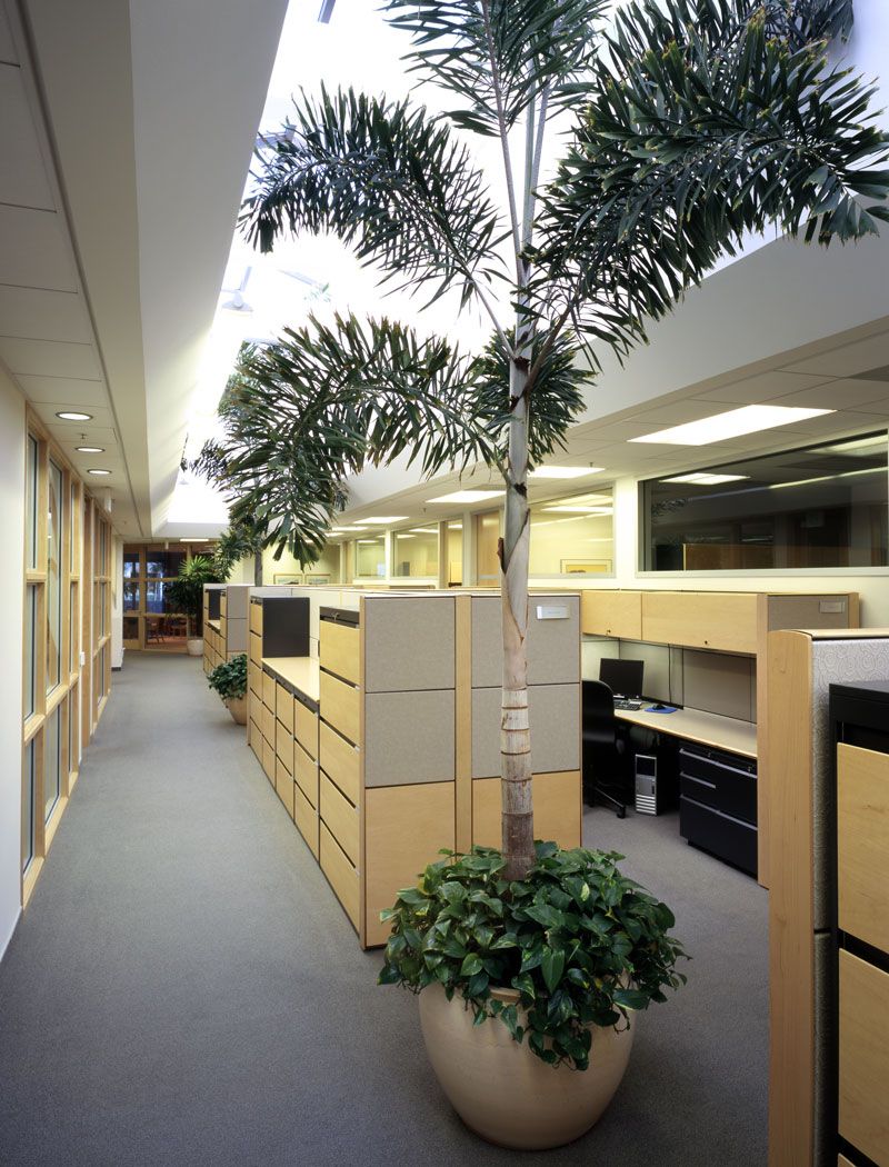 The SunCal Companies Headquarters Open Office 1